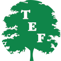 Trenton Educational Foundation logo