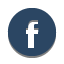 Facebook Icon